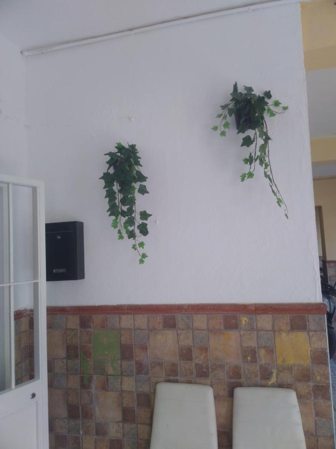 Precioso Apartamento Moderno Cerca Del Carrefour Rosaleda Malaga Ngoại thất bức ảnh
